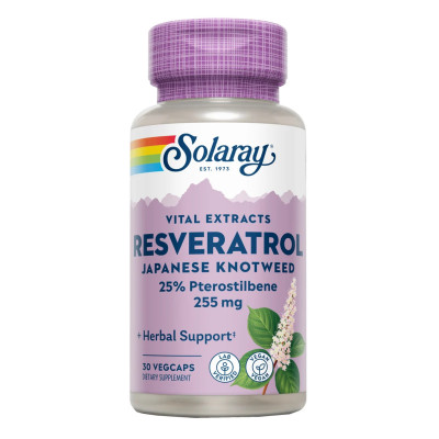 Resveratrol japanese knotwed